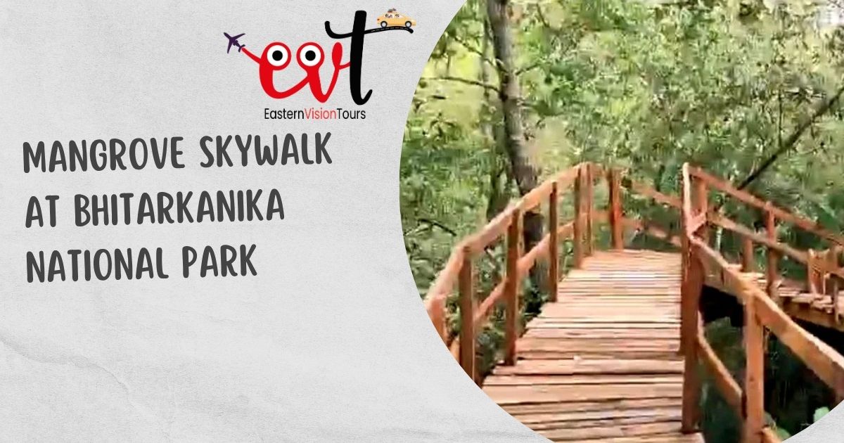 Mangrove-Skywalk-Bhitarkanika